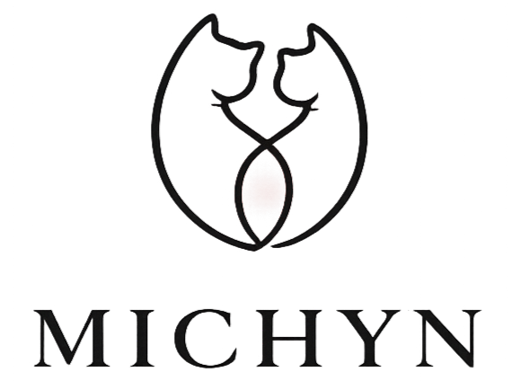 Michyn